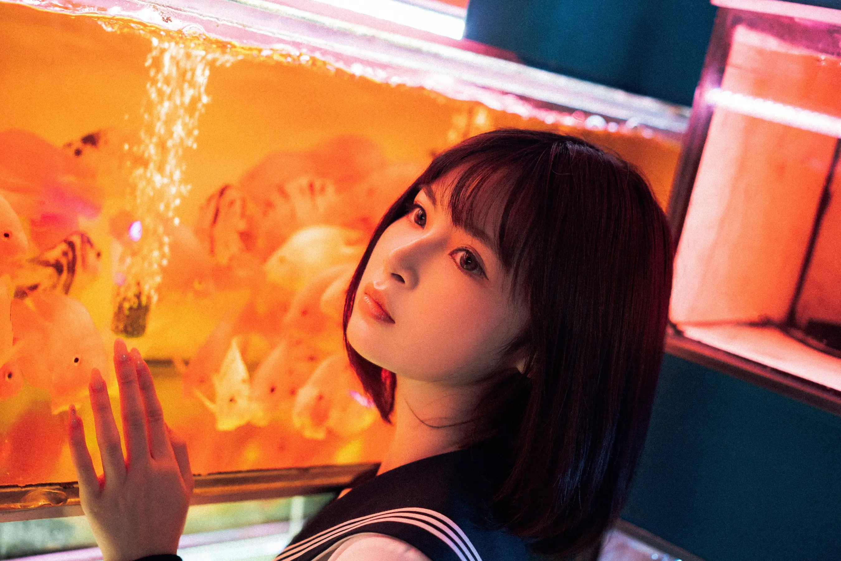 河豚抚子 金鱼JK[25P] [26P]