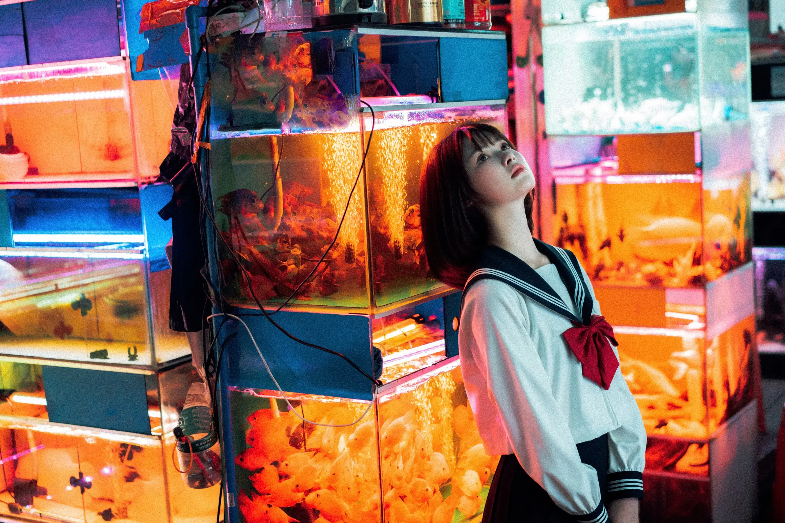 河豚抚子 金鱼JK[25P] [26P]