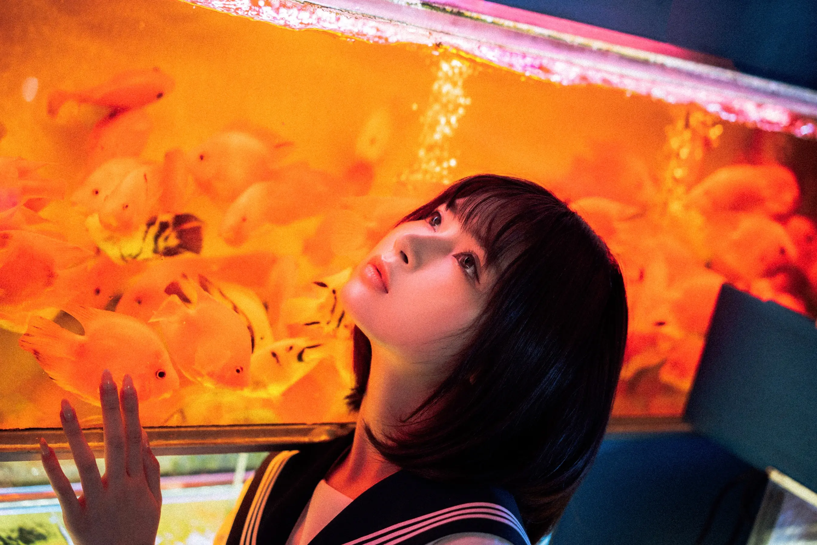 河豚抚子 金鱼JK[25P] [26P]