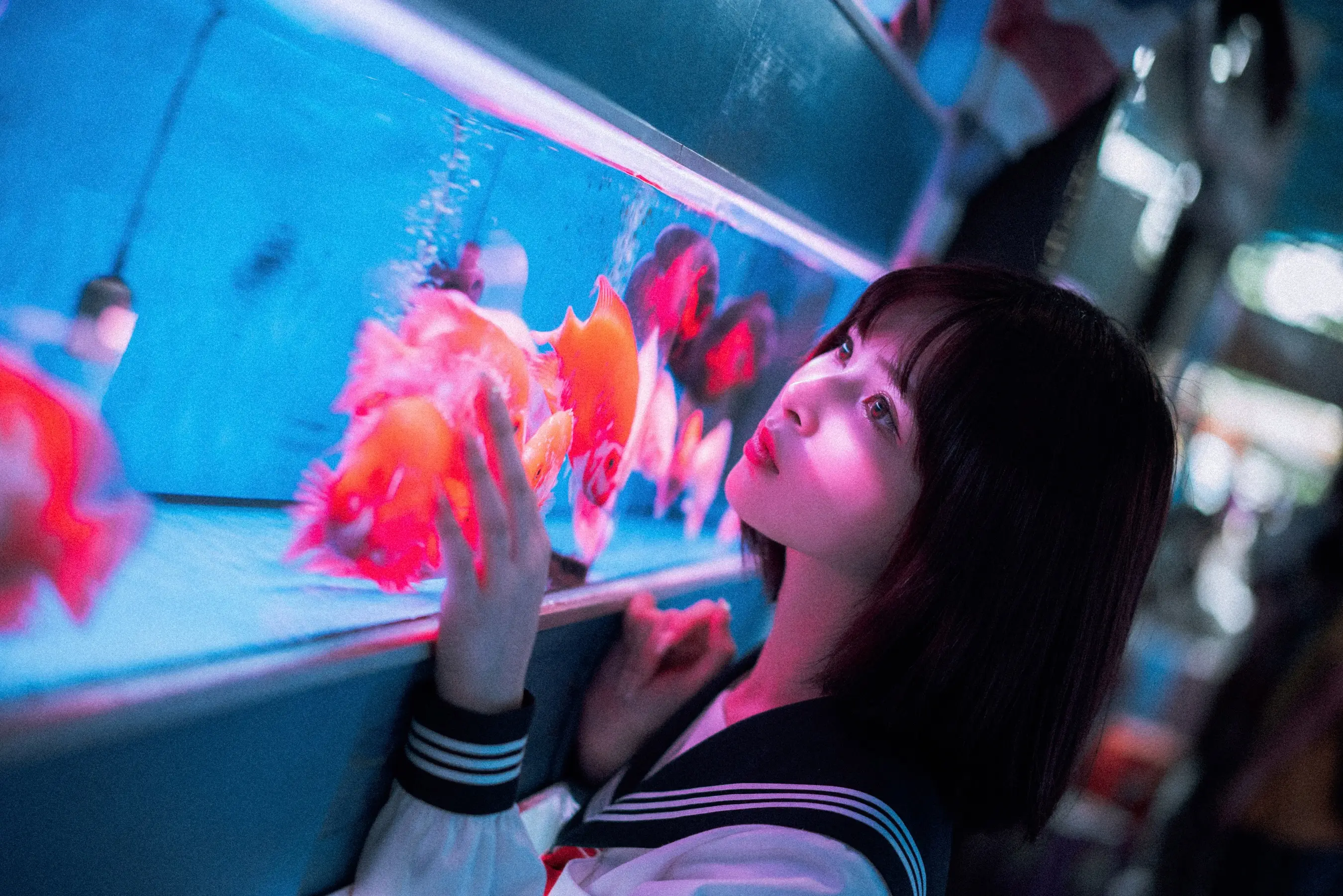 河豚抚子 金鱼JK[25P] [26P]