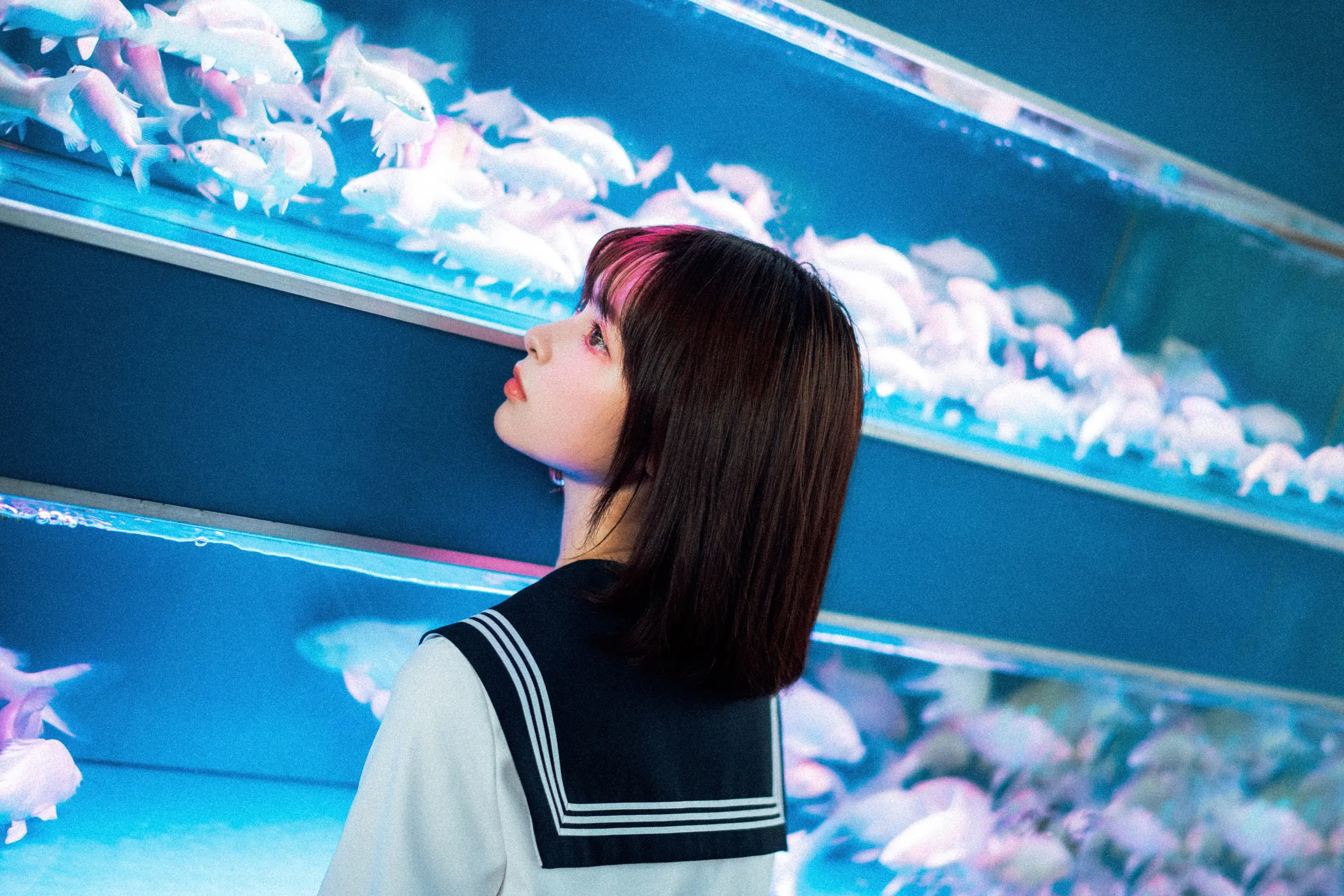 河豚抚子 金鱼JK[25P] [26P]