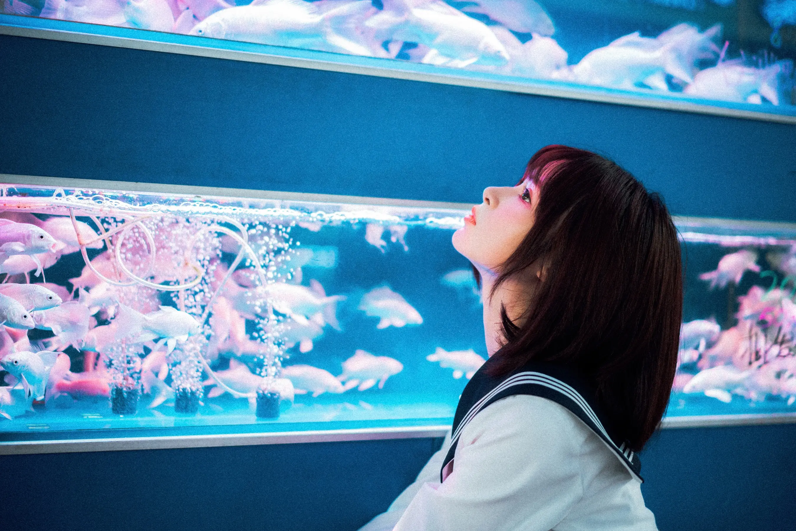 河豚抚子 金鱼JK[25P] [26P]