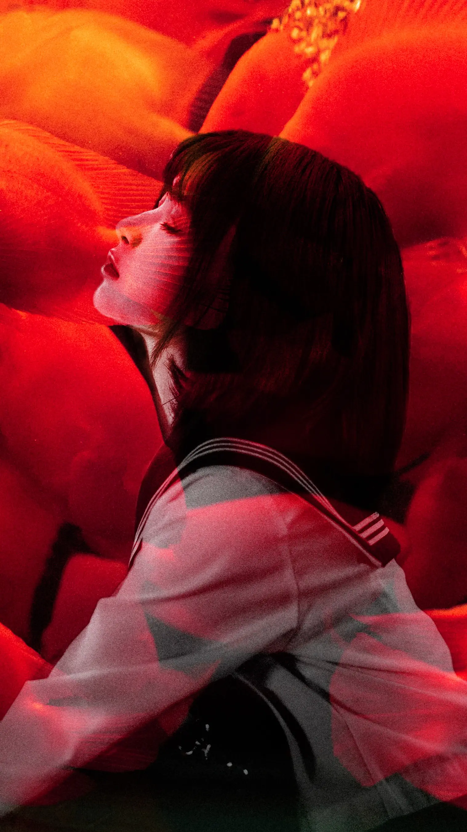 河豚抚子 金鱼JK[25P] [26P]