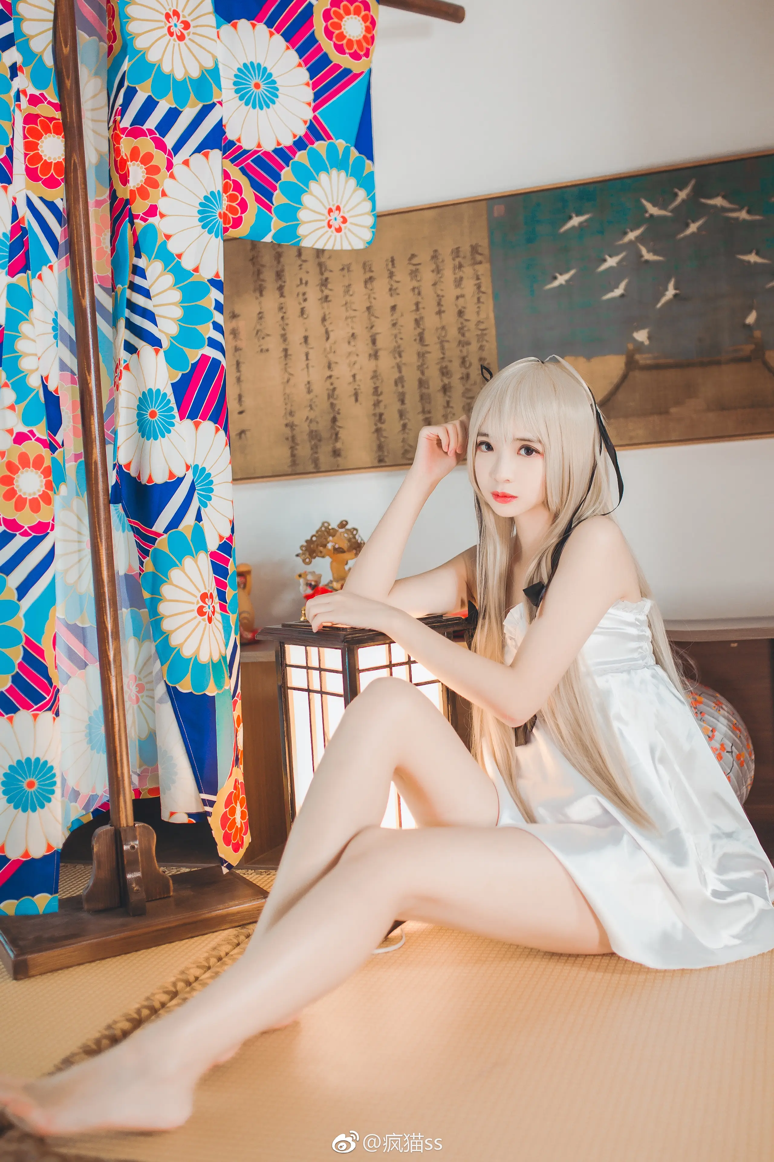 疯猫ss 其他写真-14 [9P]