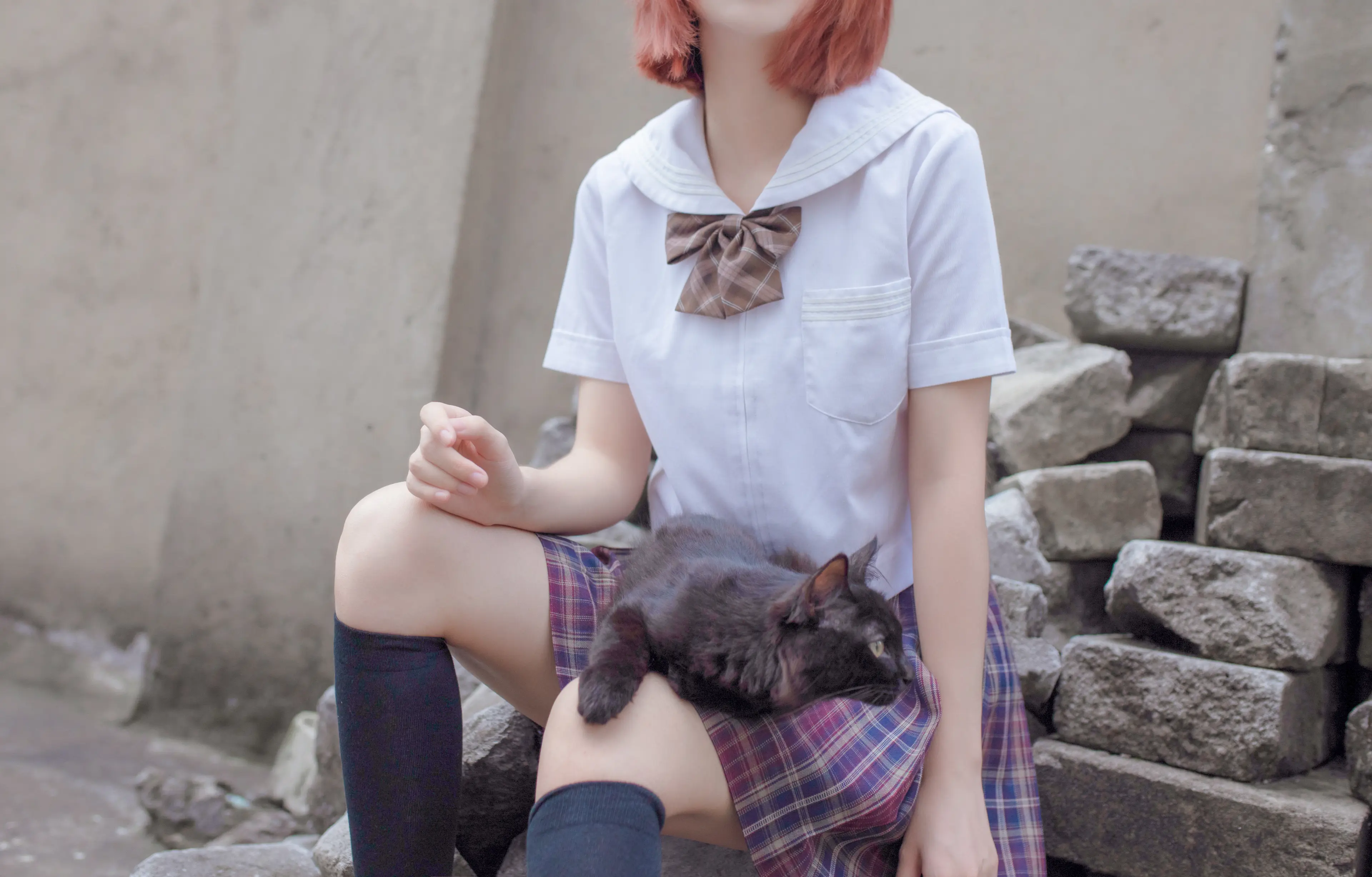 疯猫ss 和猫 [18P]