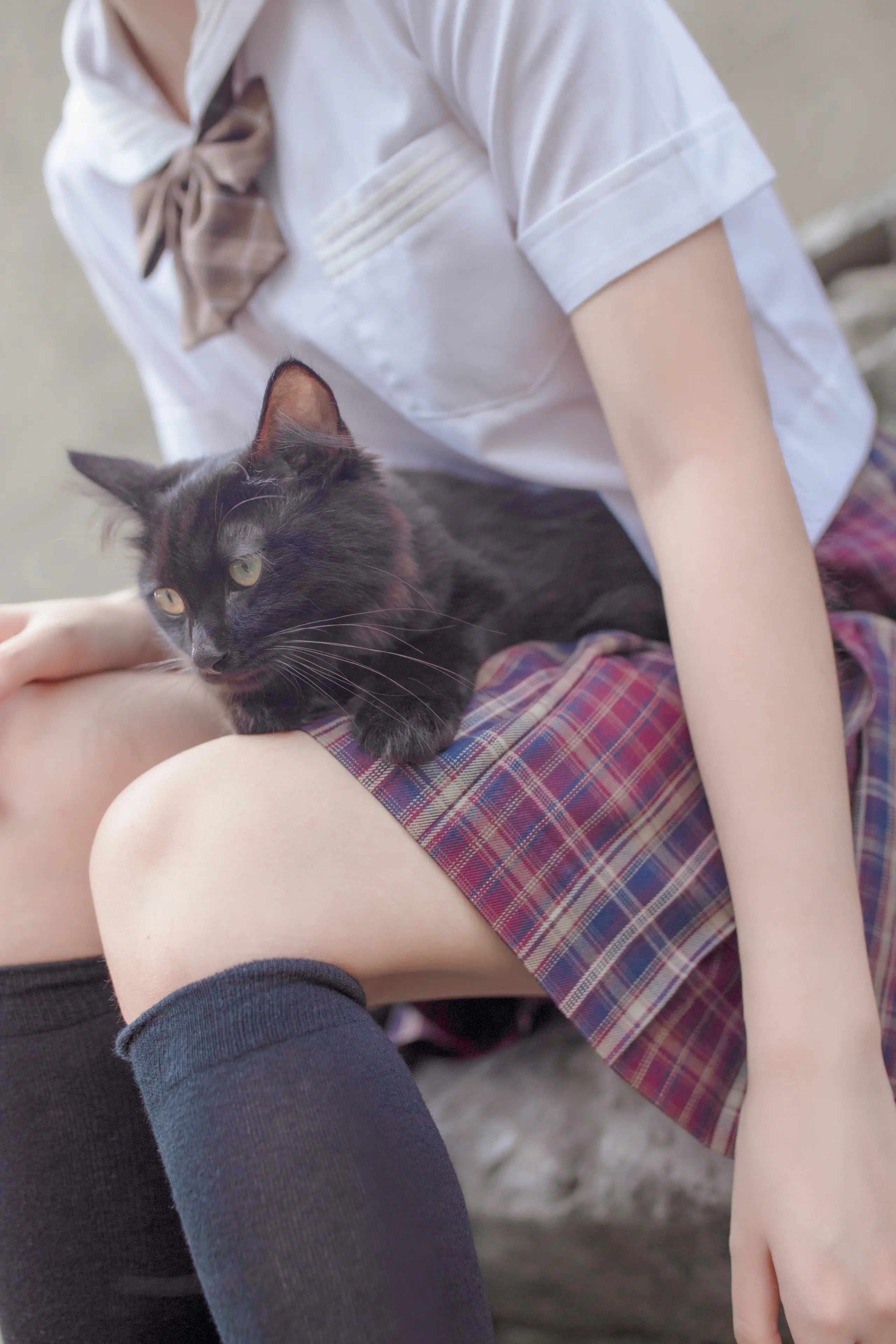 疯猫ss 和猫 [18P]