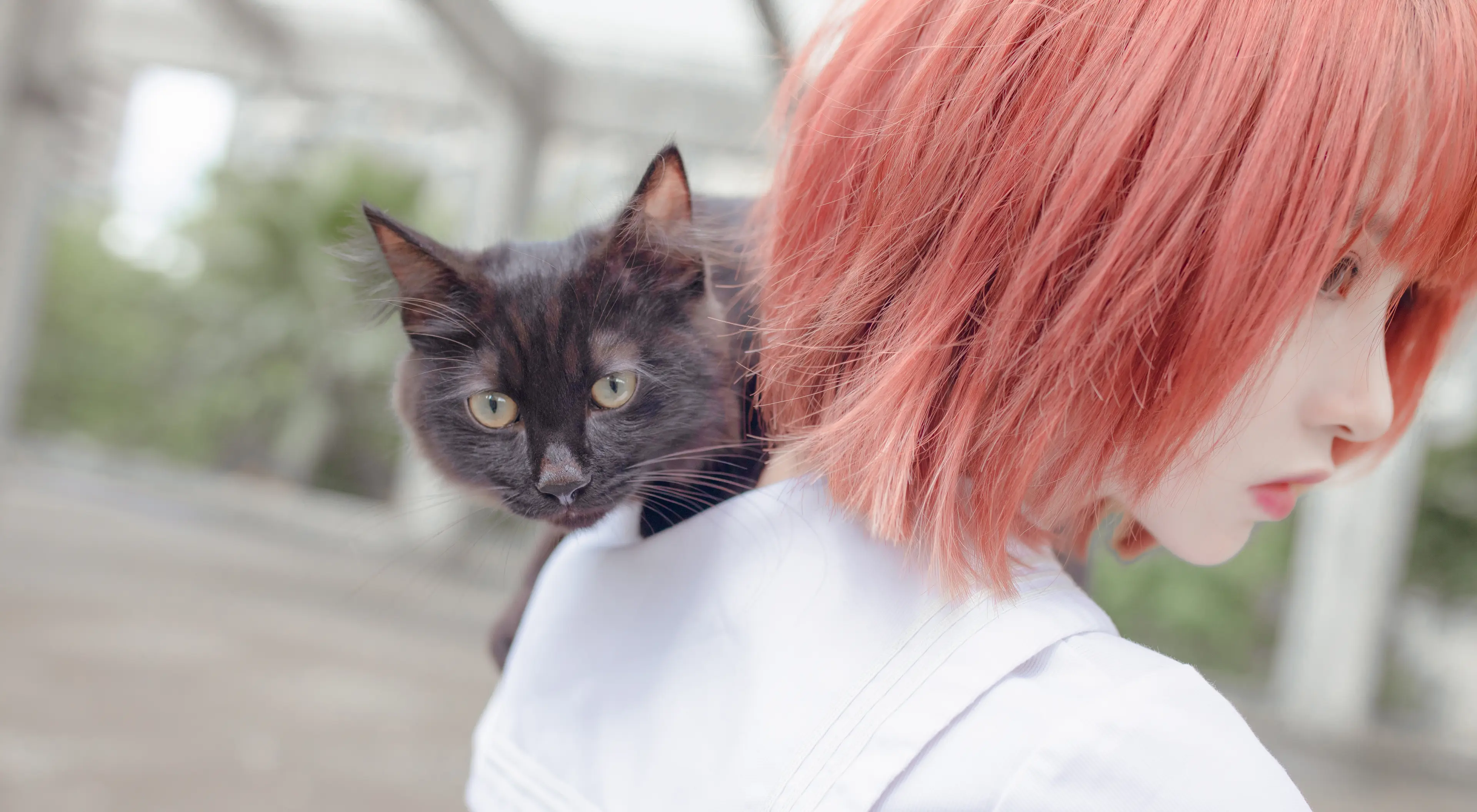 疯猫ss 和猫 [18P]