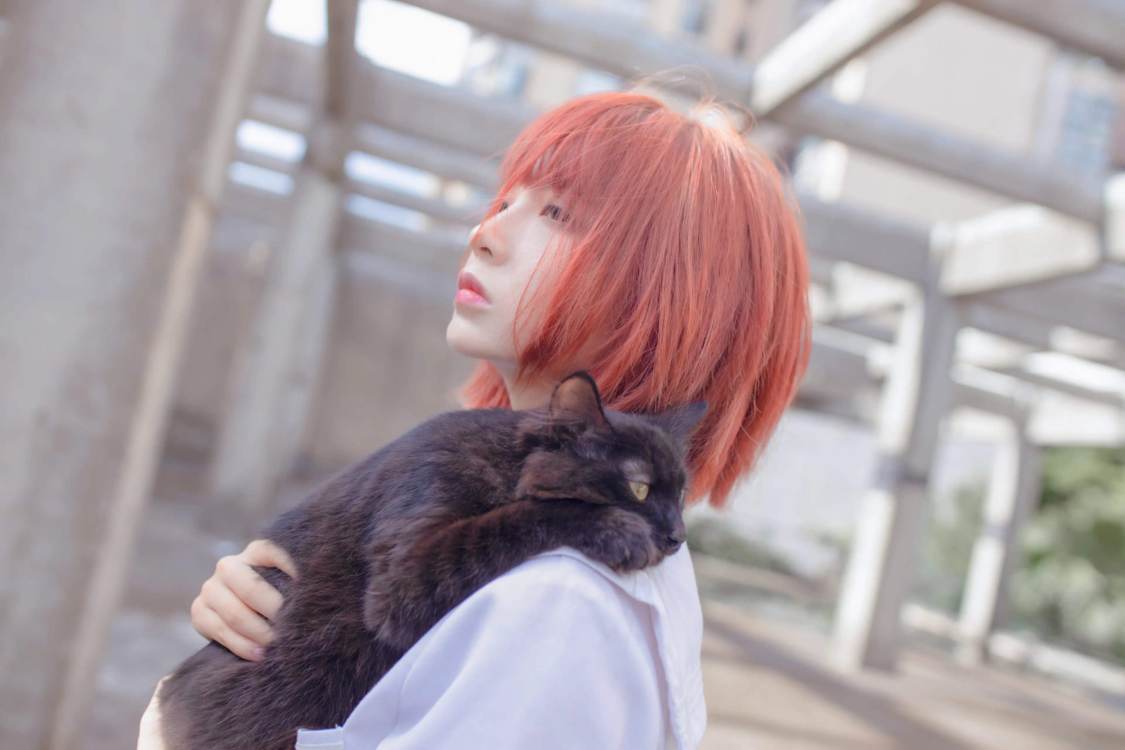 疯猫ss 和猫 [18P]