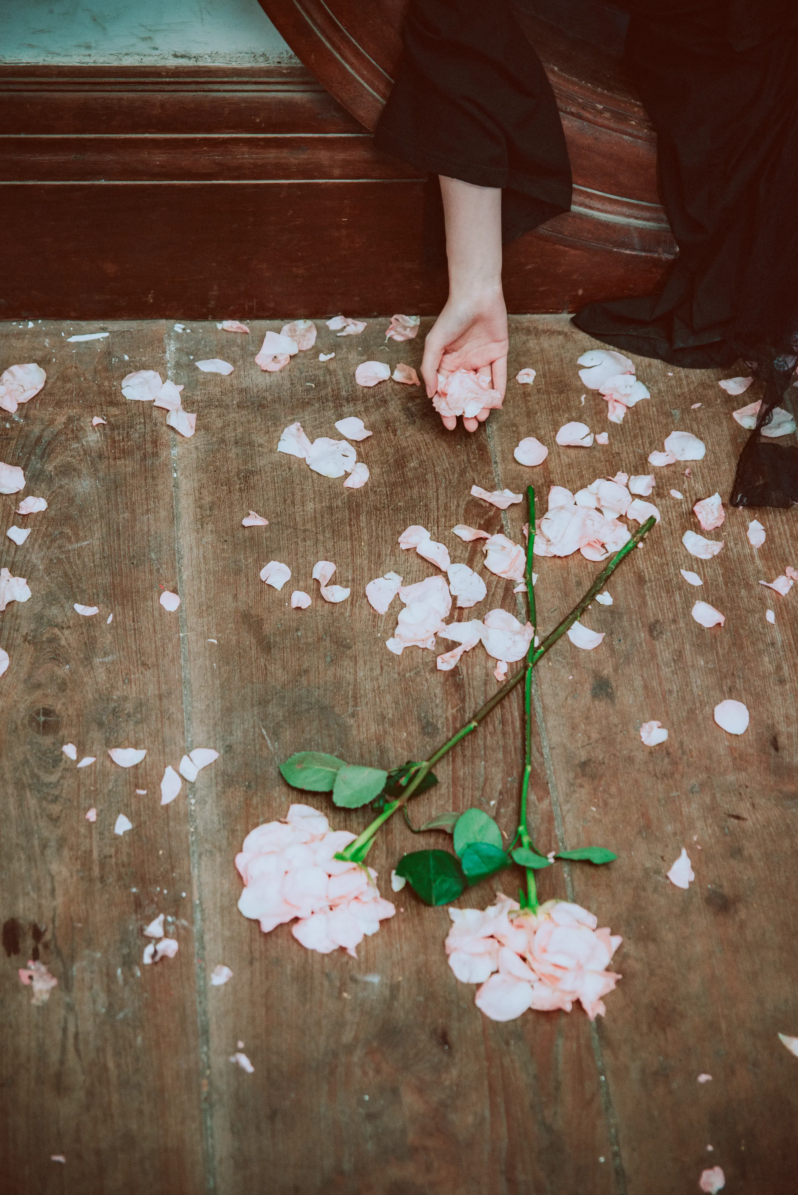 疯猫ss 沙面 [20P]