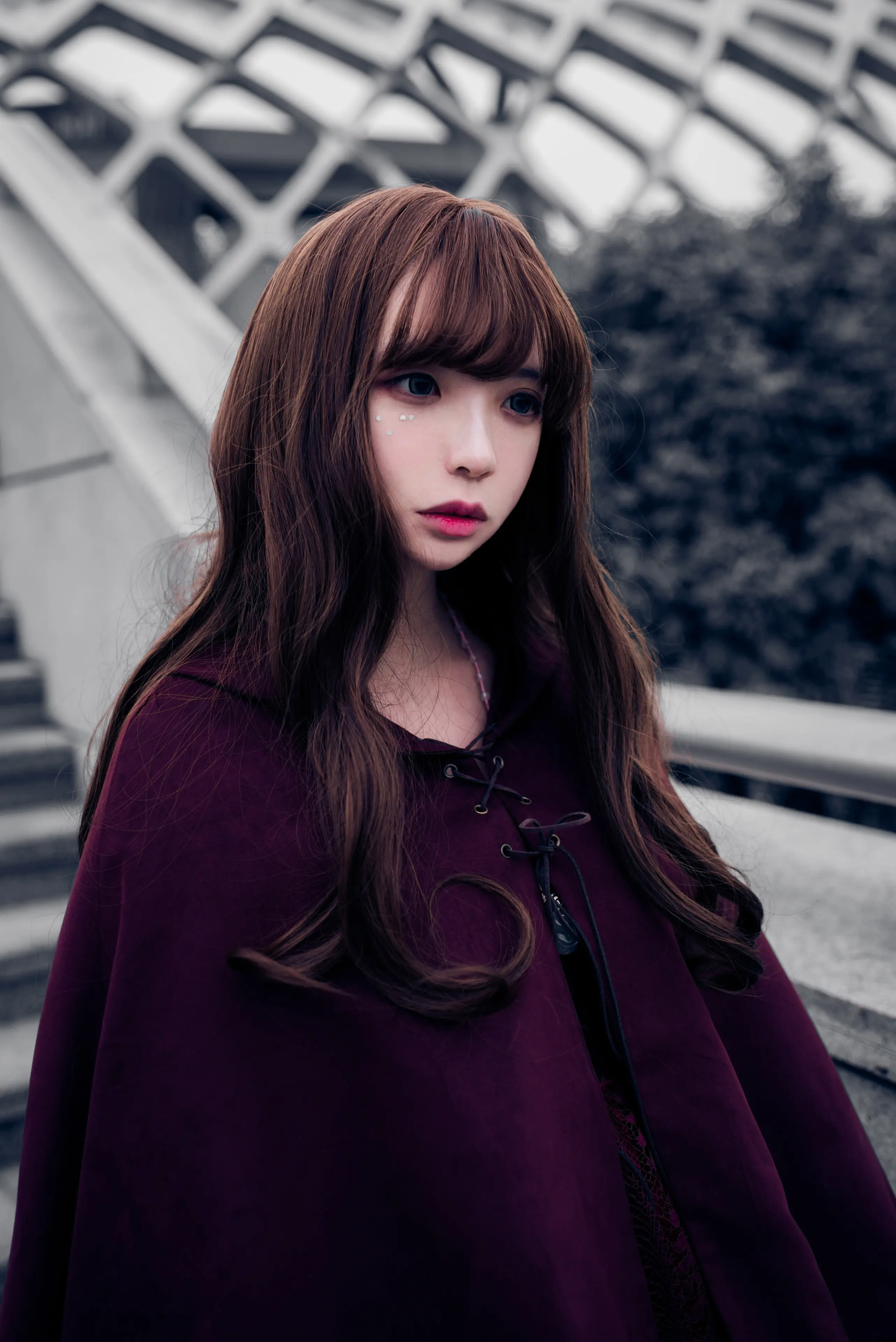 疯猫ss 红色披风 [12P]