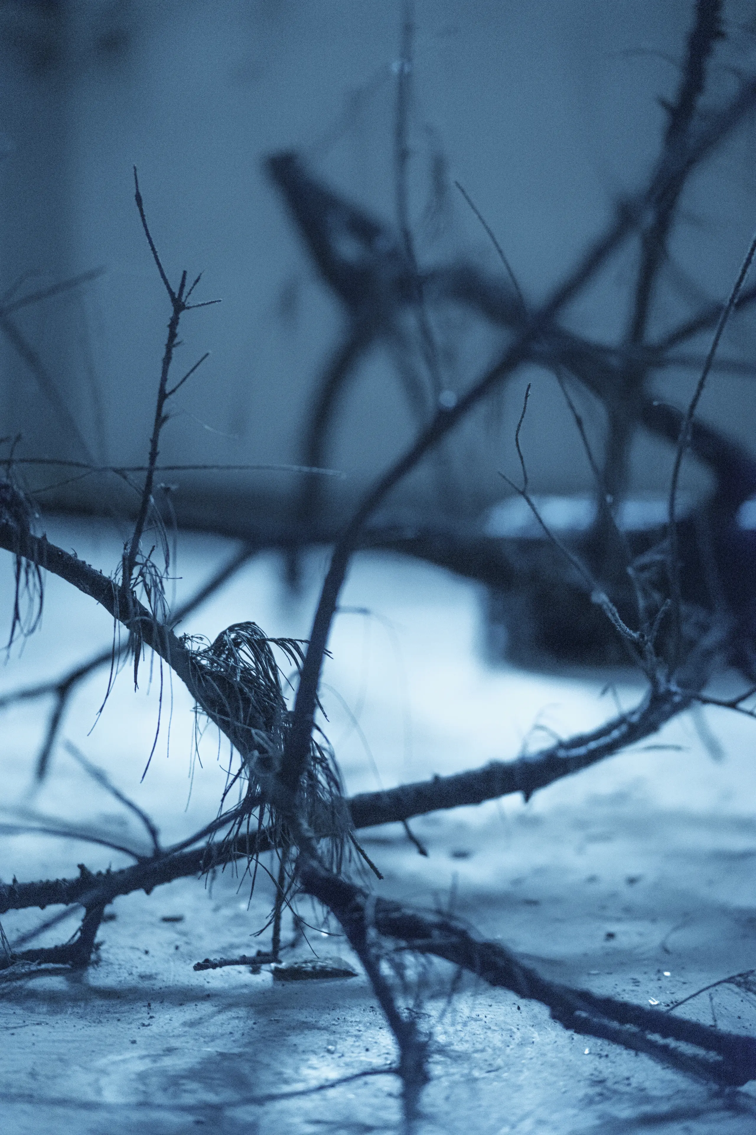 疯猫ss 魔女 [27P]