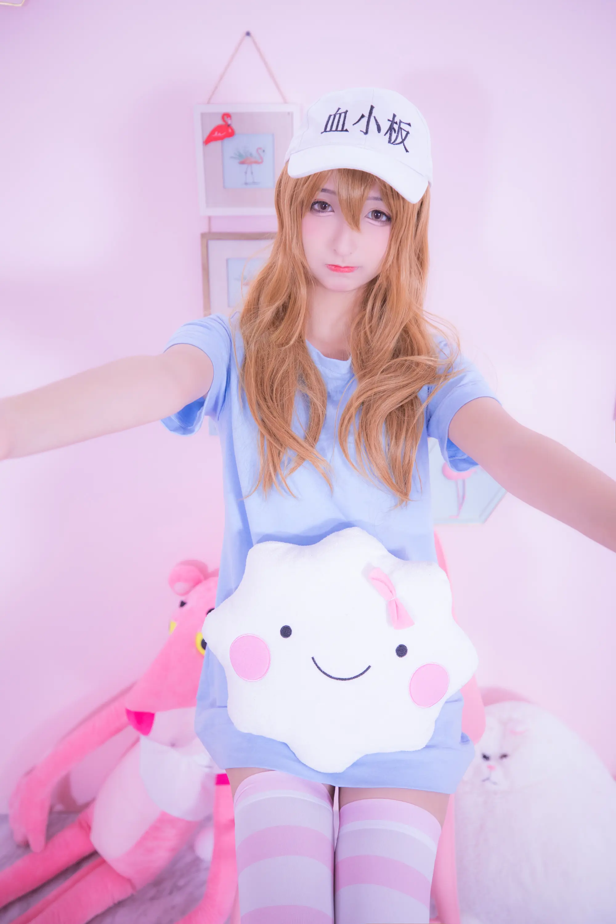 神楽坂真冬 血小板 小さな恋 [150P]