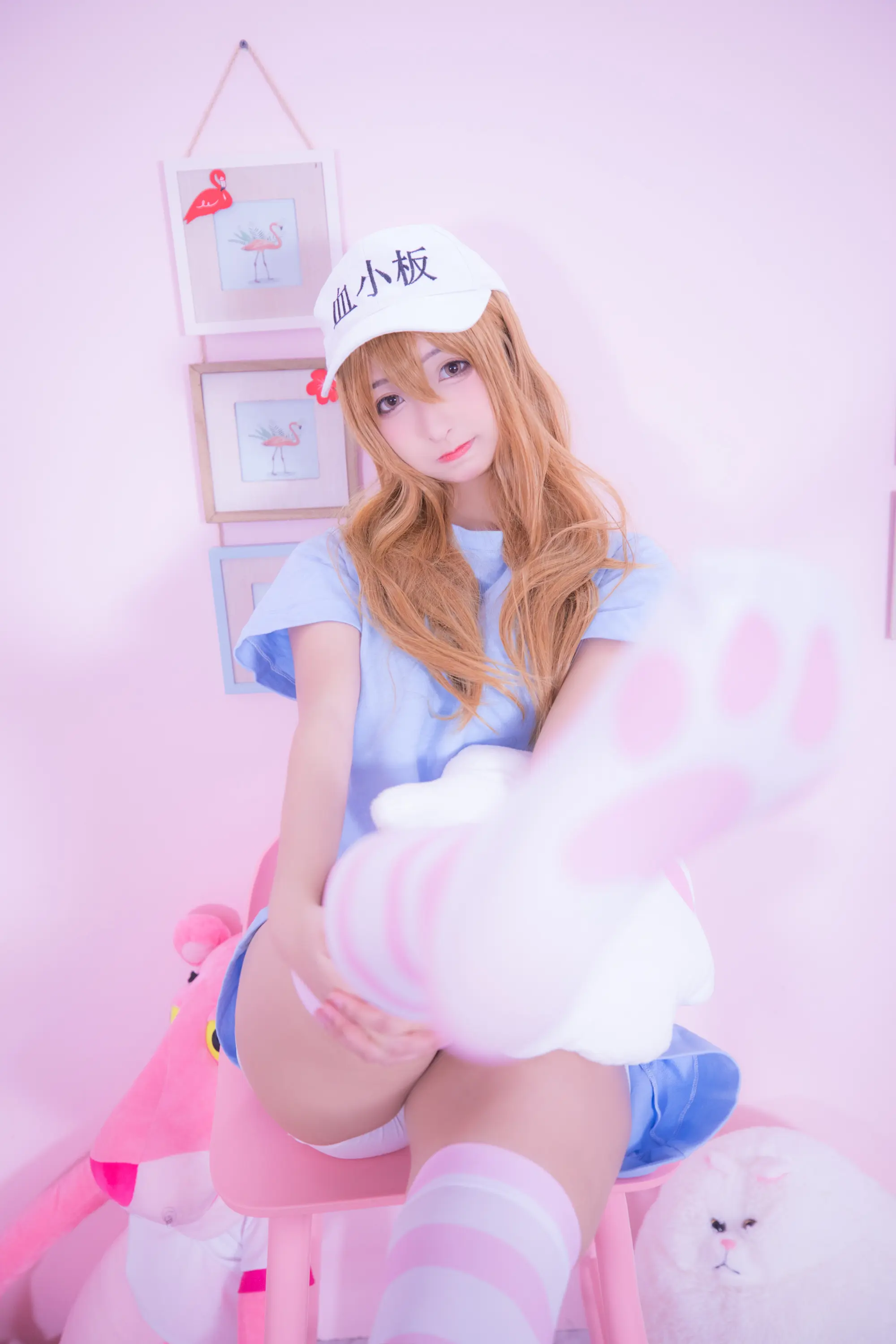 神楽坂真冬 血小板 小さな恋 [150P]