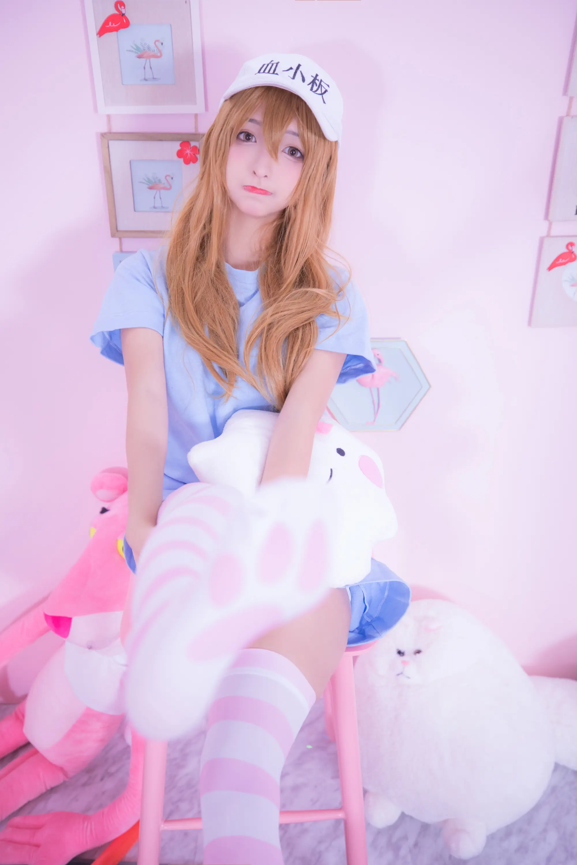 神楽坂真冬 血小板 小さな恋 [150P]