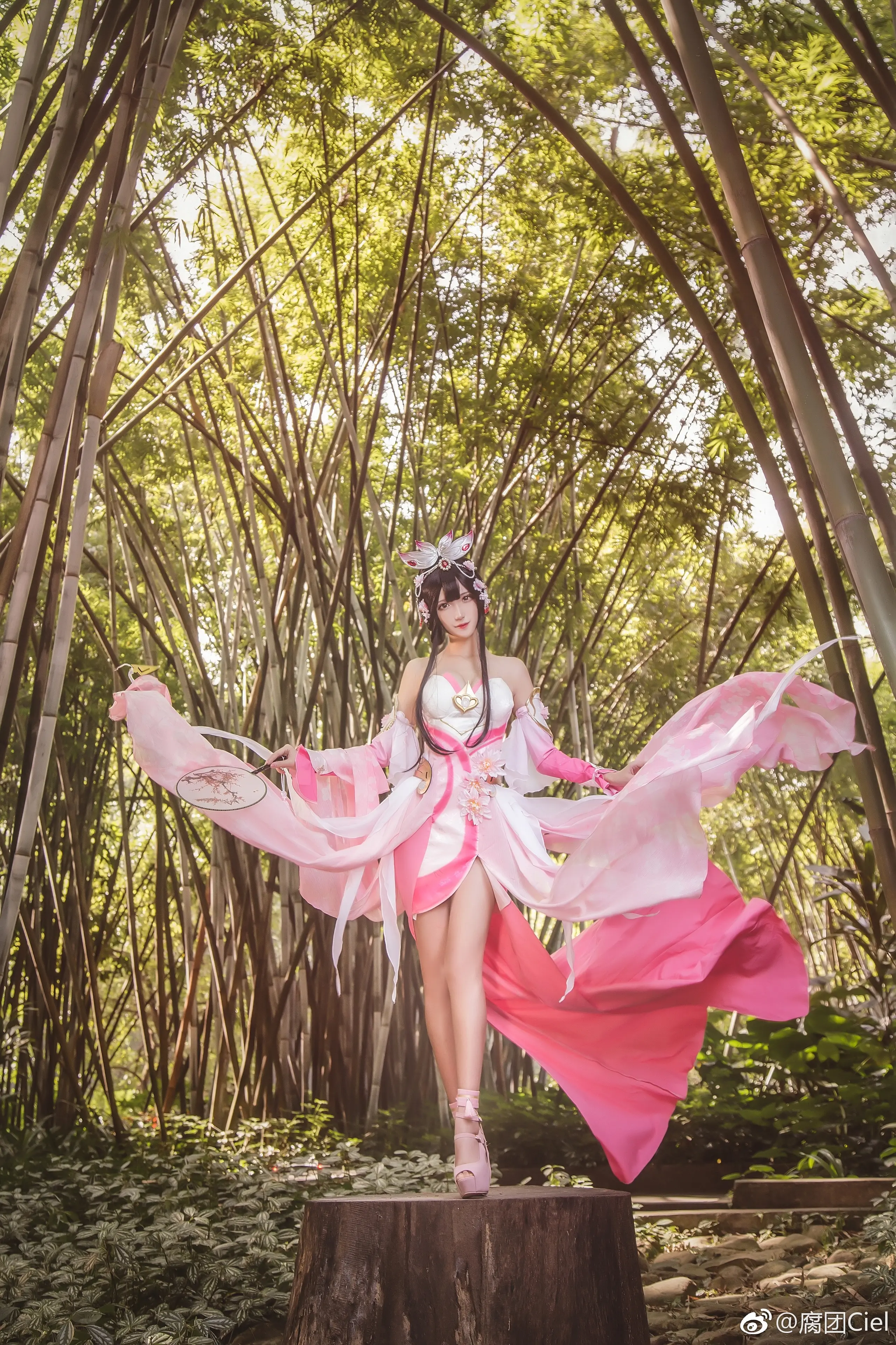 腐团儿 王者荣耀 甄姬 [18P]