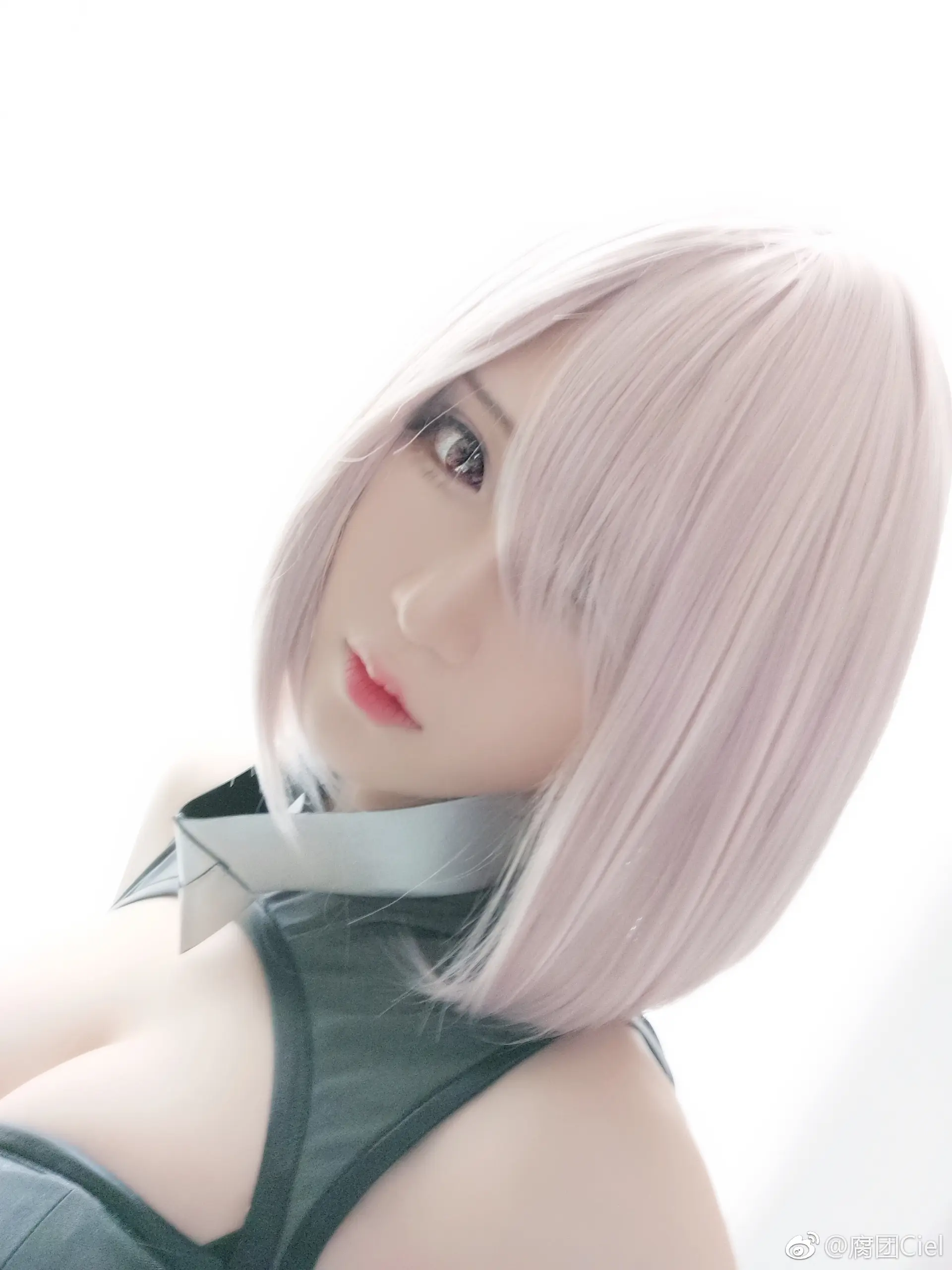 腐团儿 Fate∕GrandOrder 玛修 [24P]