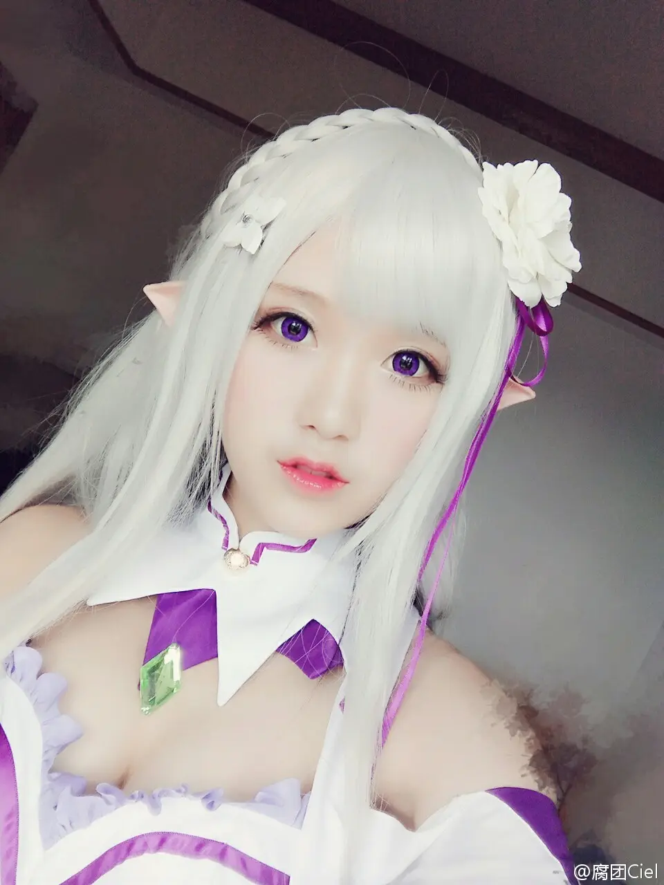 腐团儿 Re︰从零开始的异世界生活 艾米莉娅 [18P]