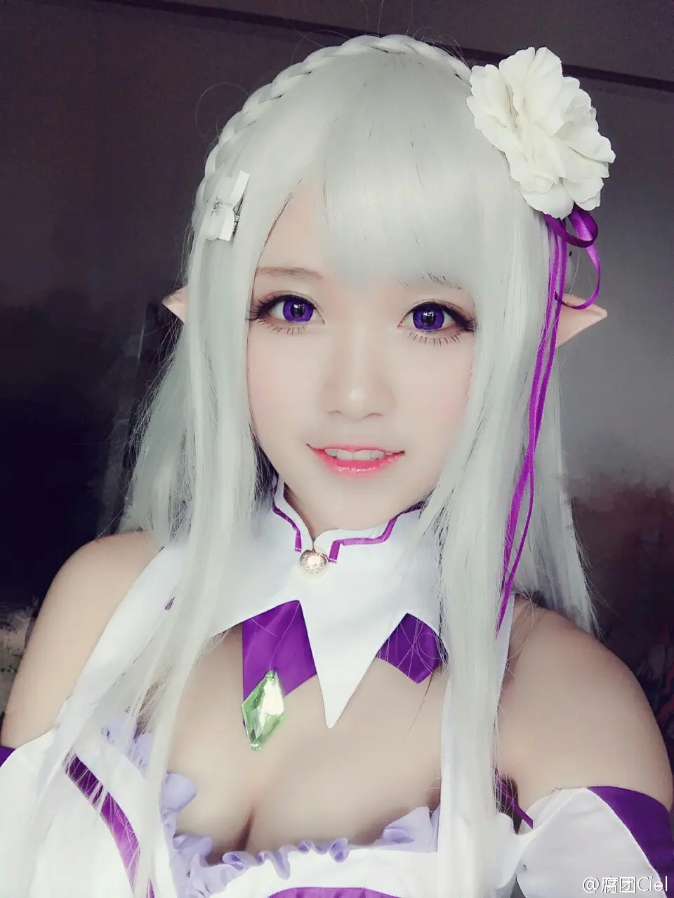 腐团儿 Re︰从零开始的异世界生活 艾米莉娅 [18P]