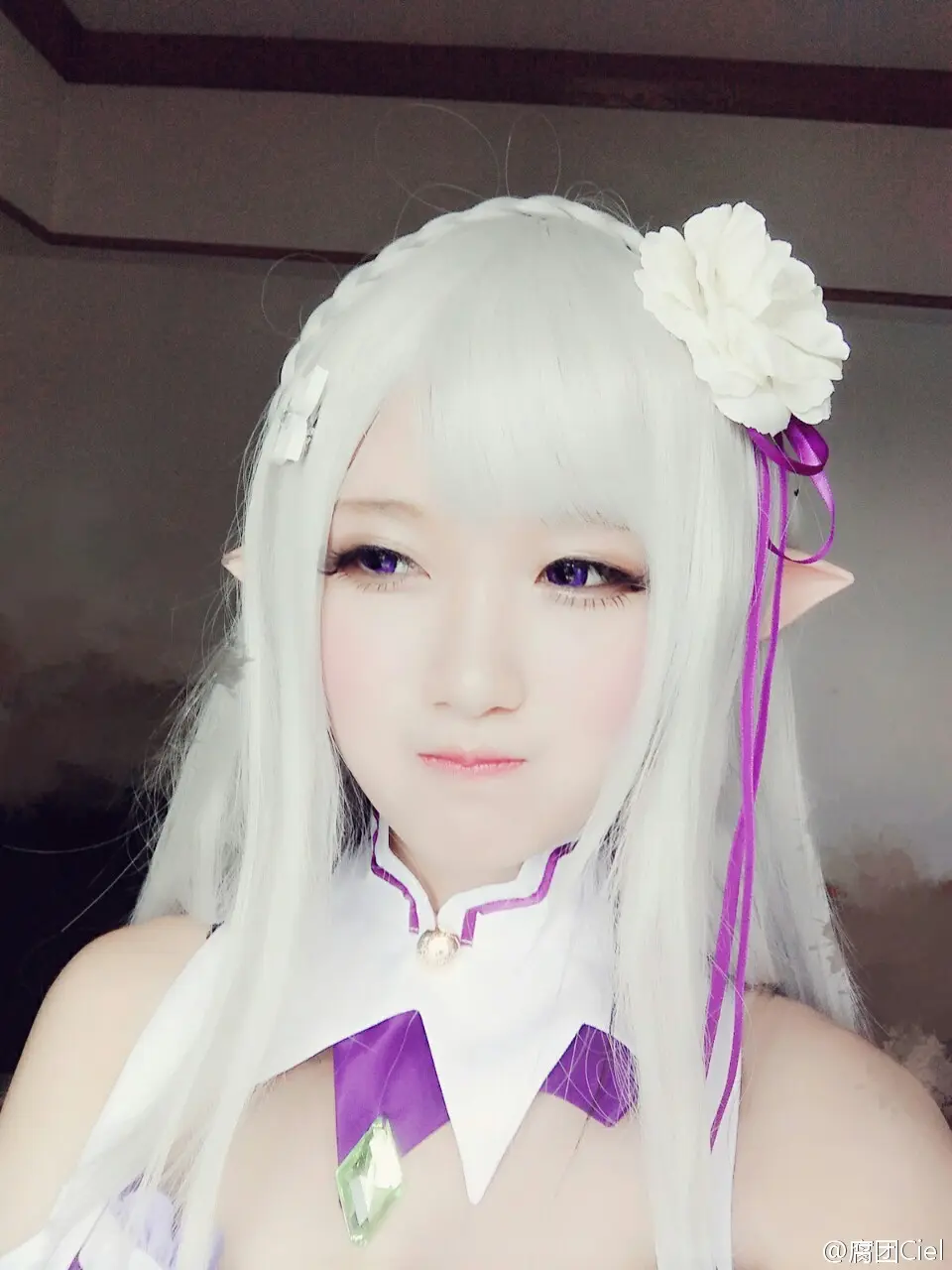 腐团儿 Re︰从零开始的异世界生活 艾米莉娅 [18P]