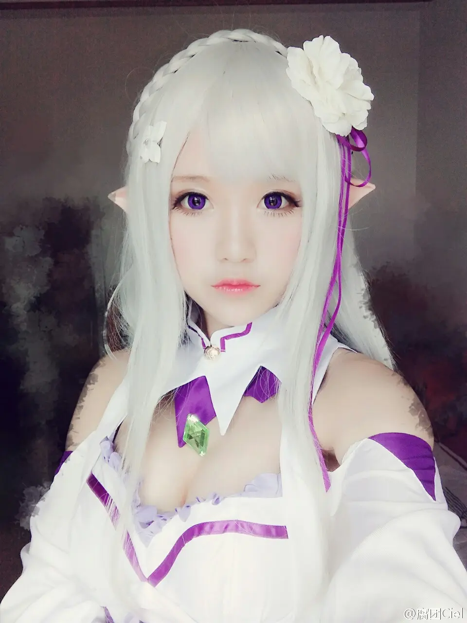 腐团儿 Re︰从零开始的异世界生活 艾米莉娅 [18P]