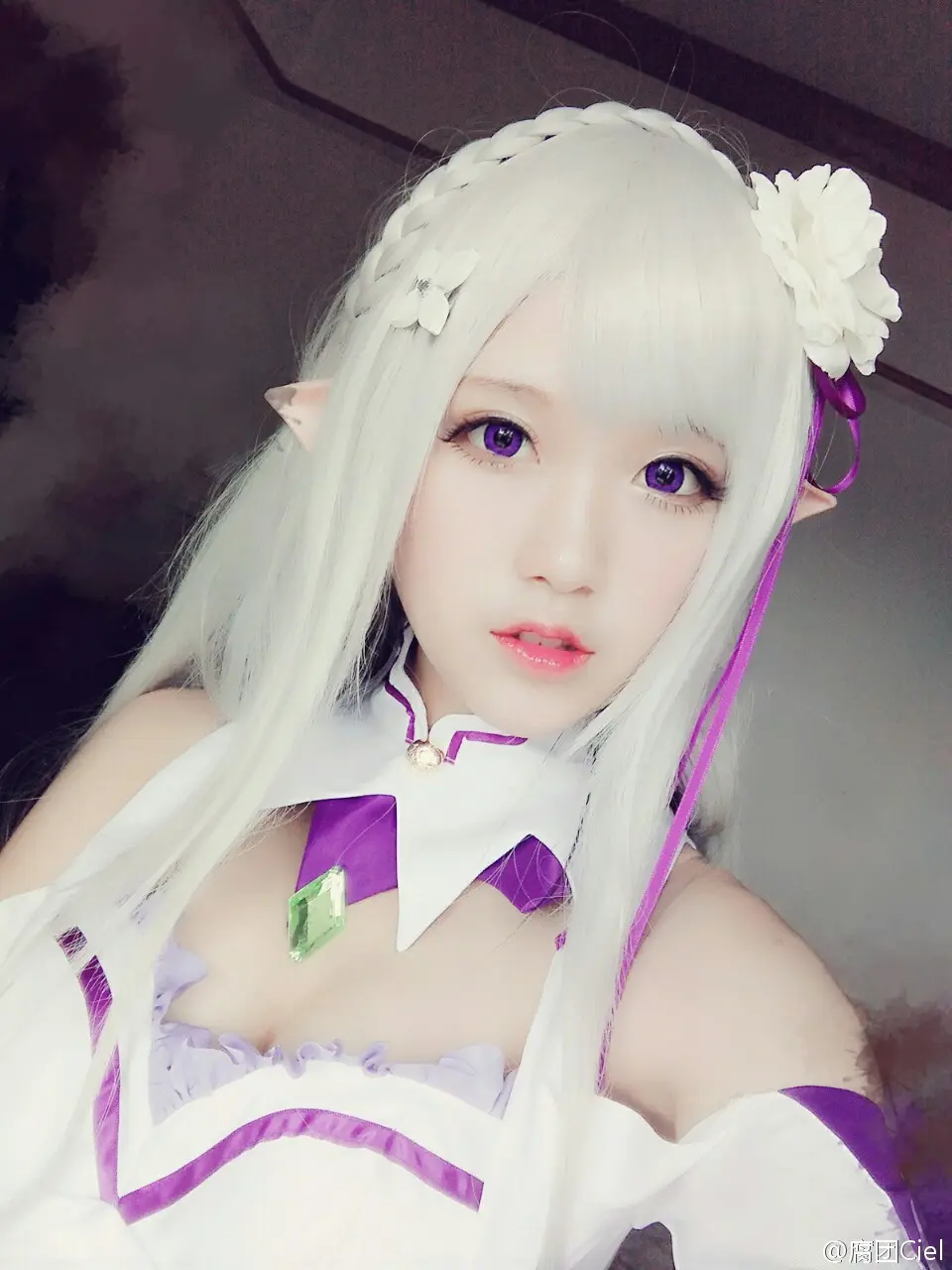 腐团儿 Re︰从零开始的异世界生活 艾米莉娅 [18P]