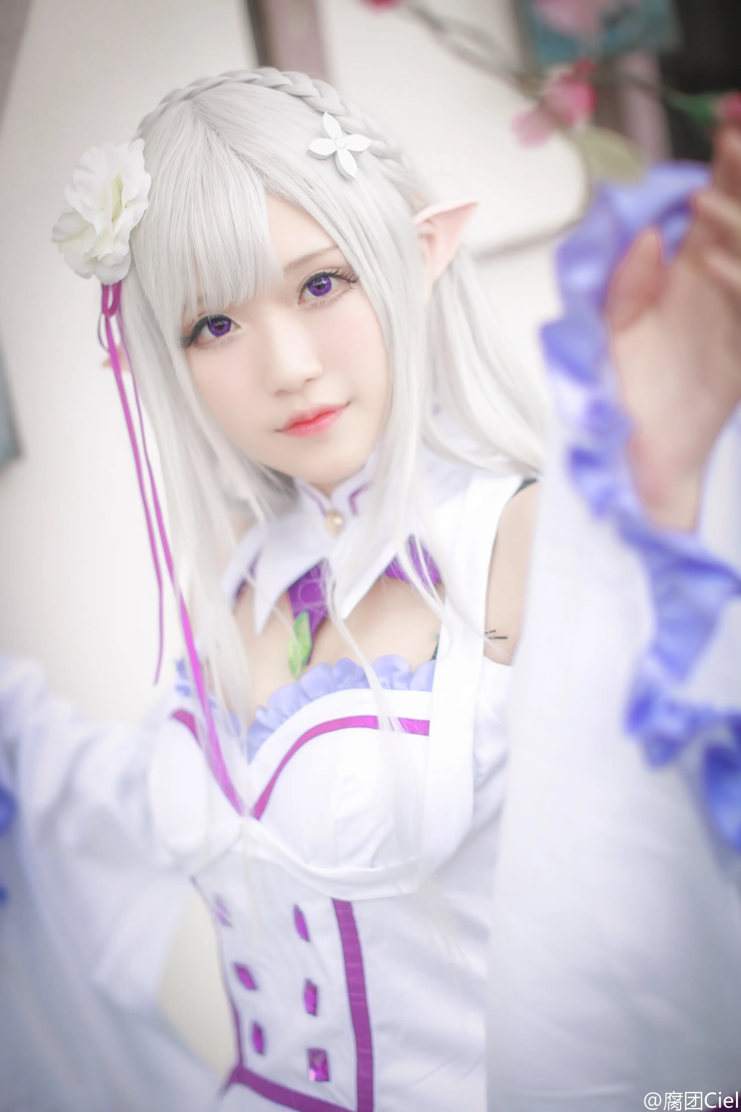 腐团儿 Re︰从零开始的异世界生活 艾米莉娅 [18P]