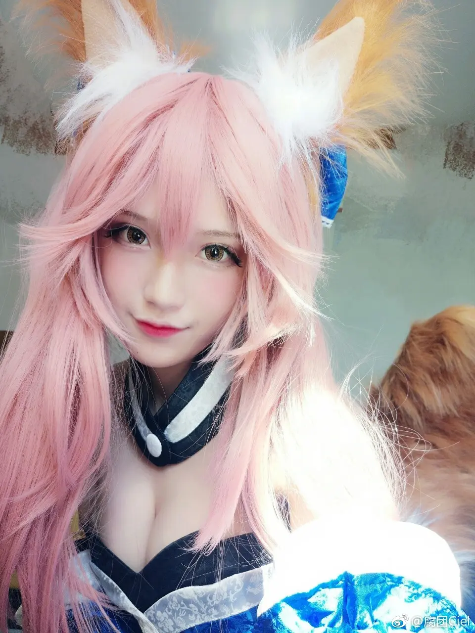 腐团儿 fate 玉藻前 小玉 [9P]