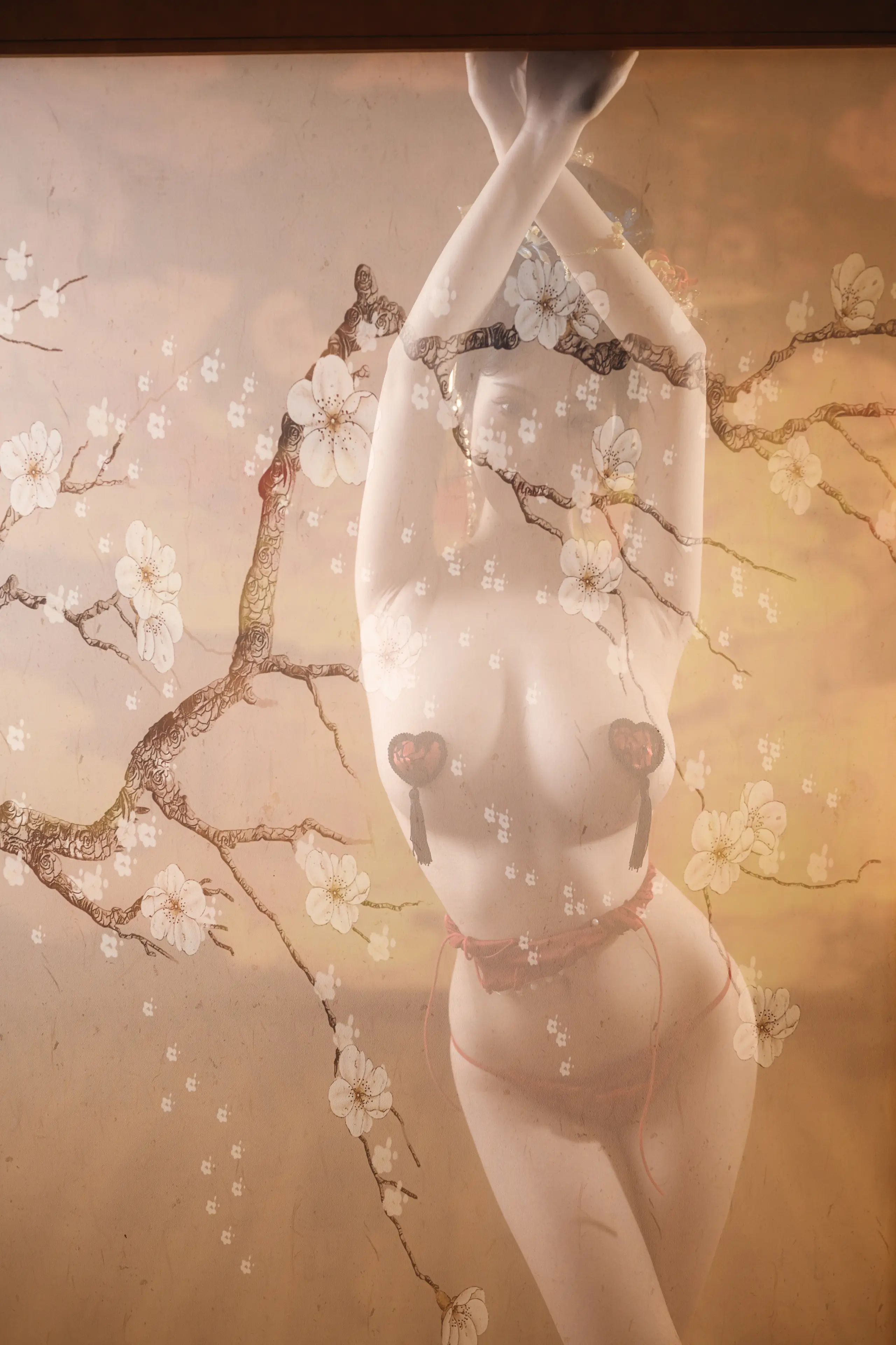 蜜汁猫裘 唐宫夜宴 [61P]