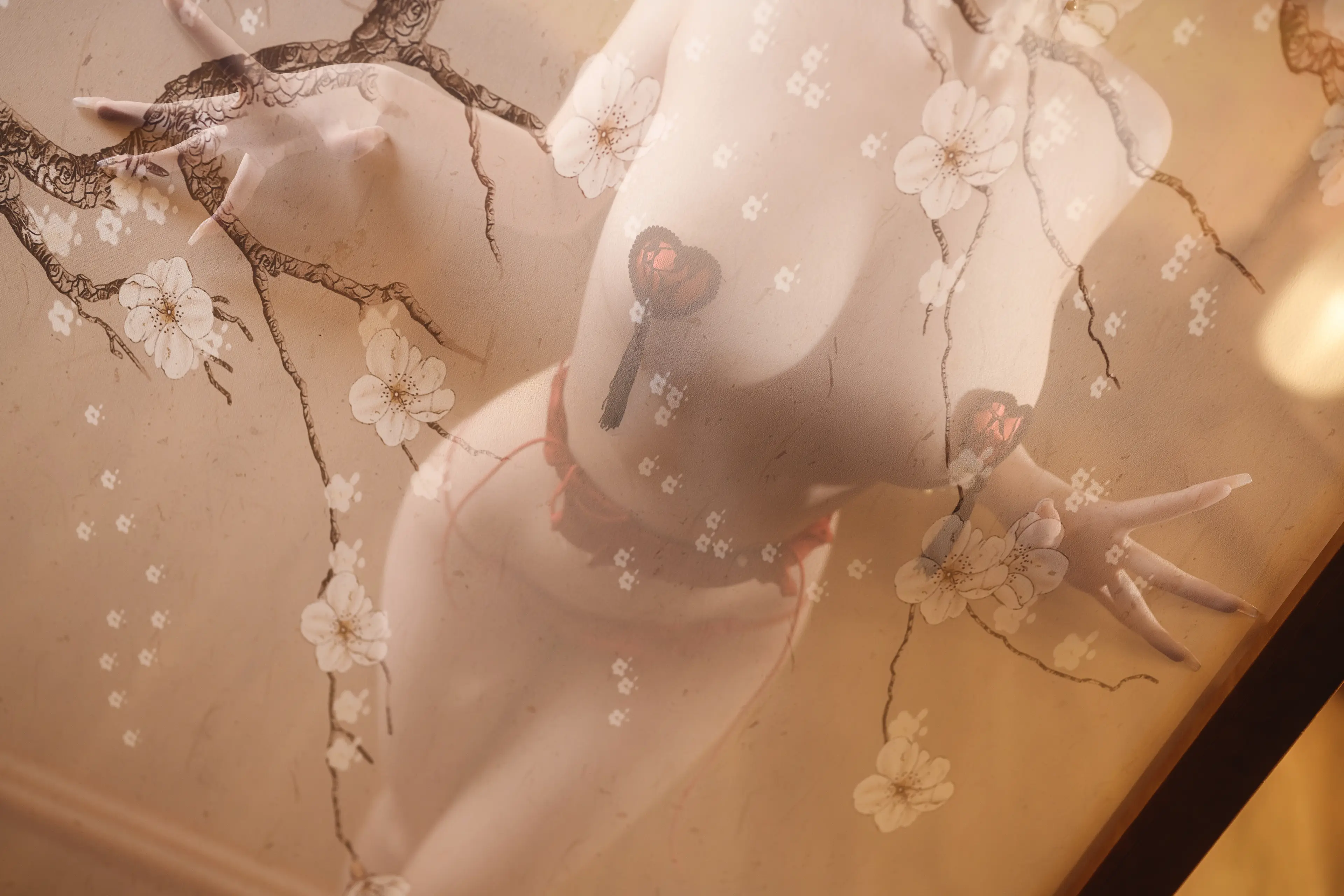 蜜汁猫裘 唐宫夜宴 [61P]