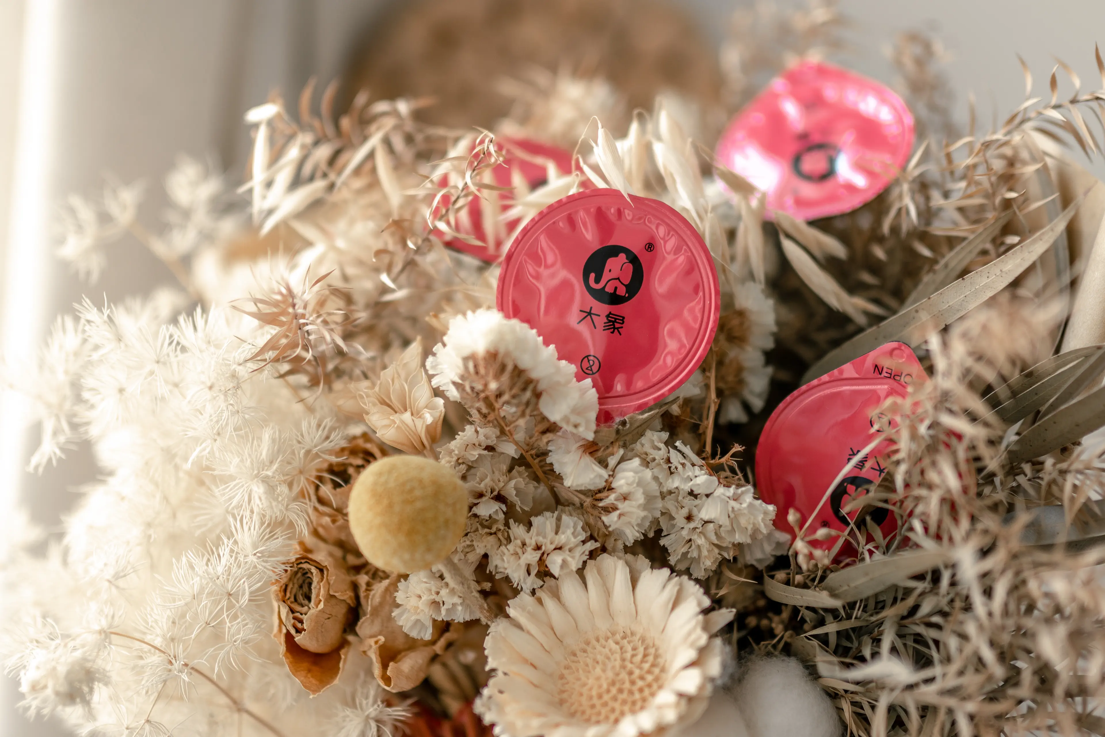 蠢沫沫 大象 白睡衣 [29P]