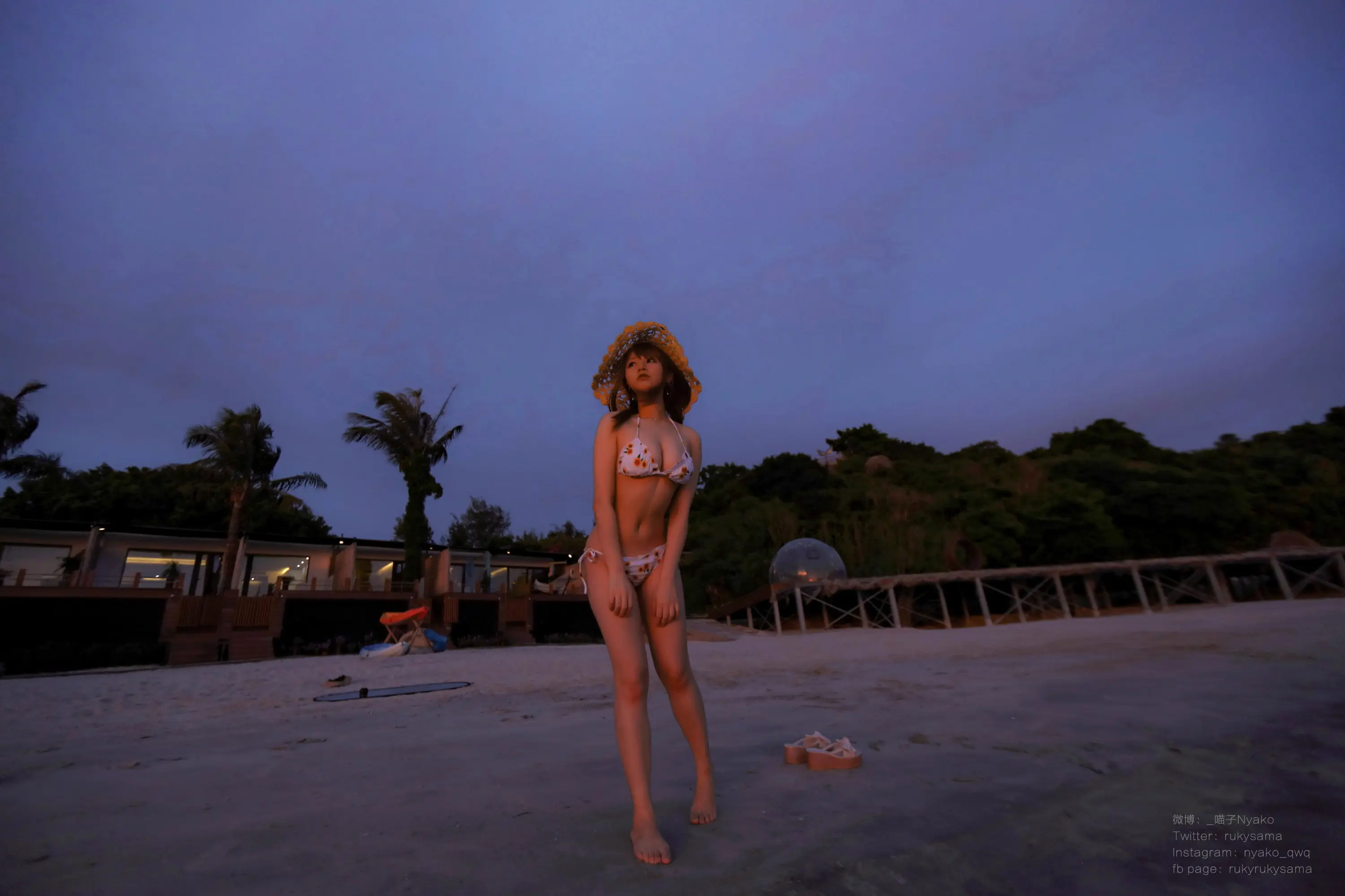 Nyako喵子 向日葵比基尼 [66P]