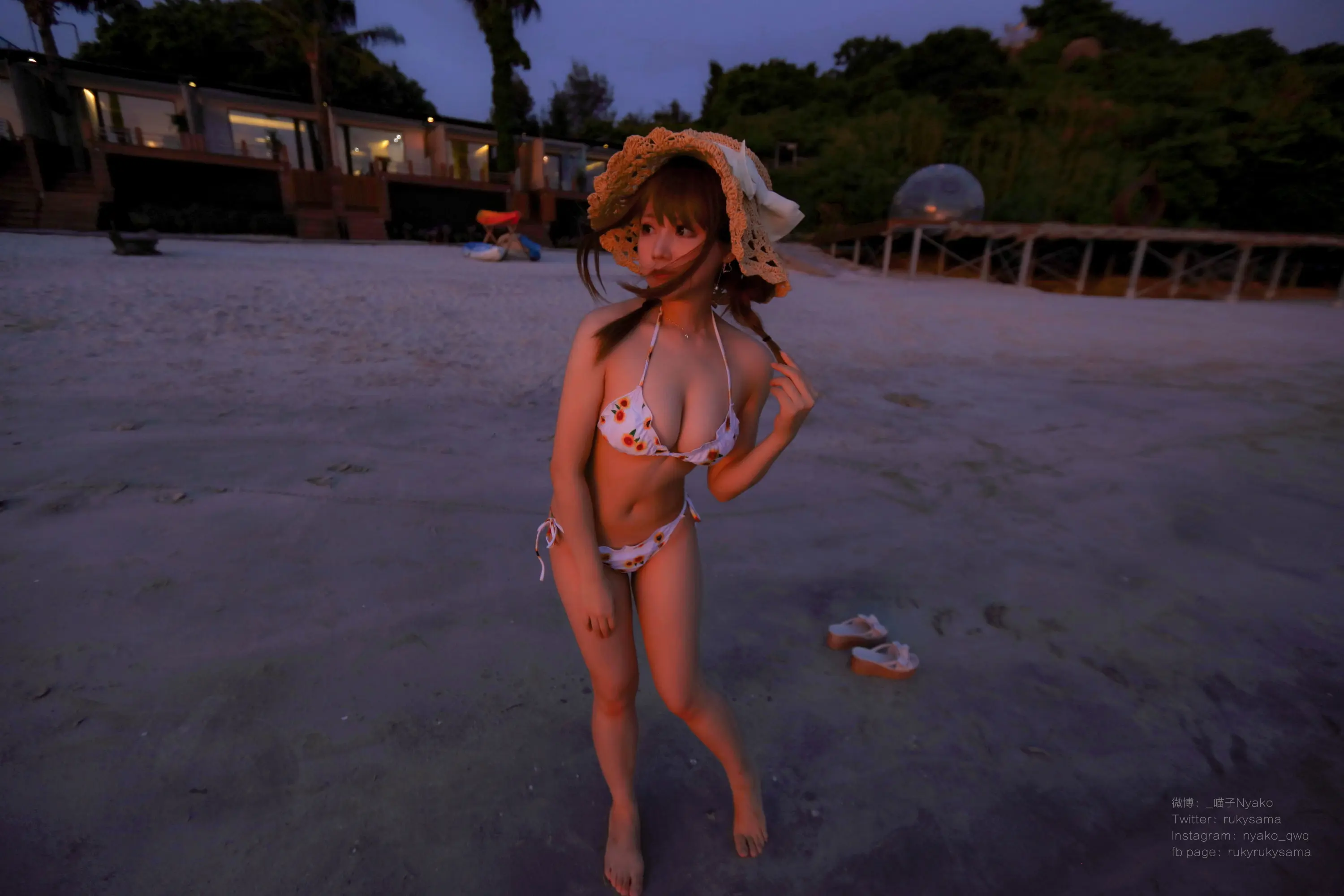 Nyako喵子 向日葵比基尼 [66P]