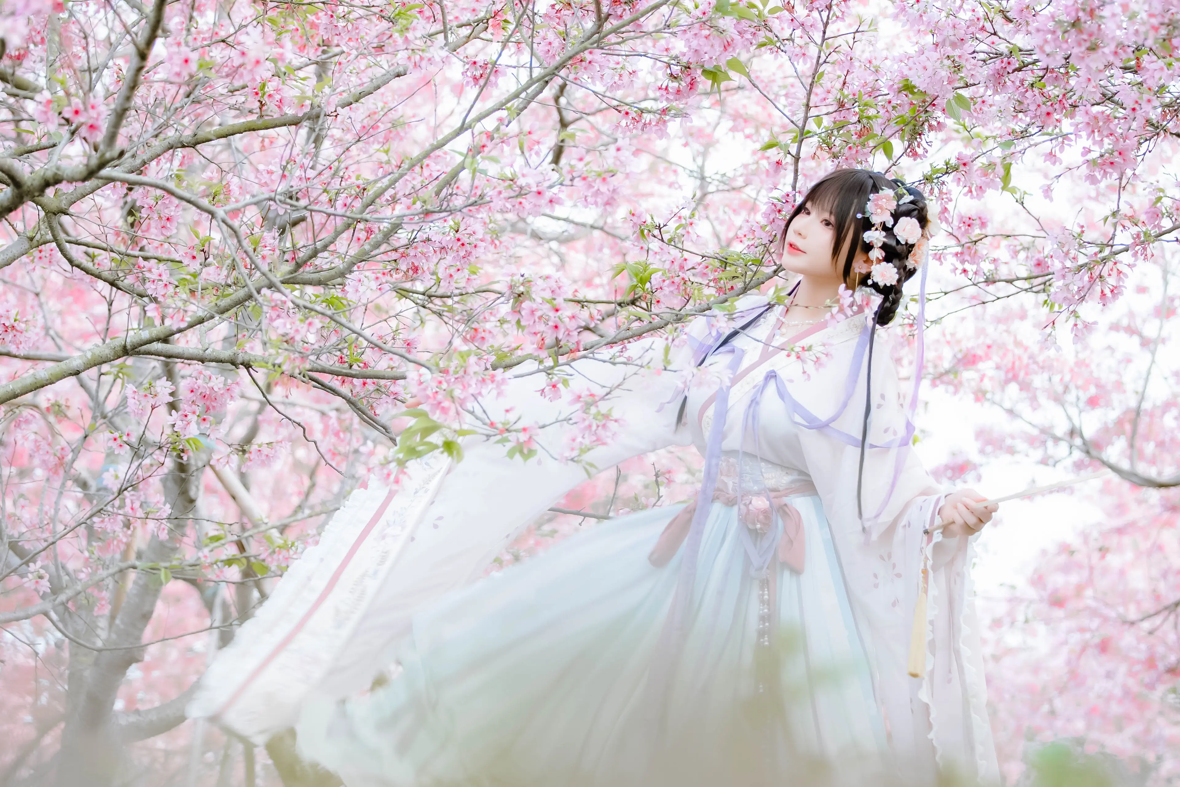 Nyako喵子 樱花汉服 花神祈愿 [52P]