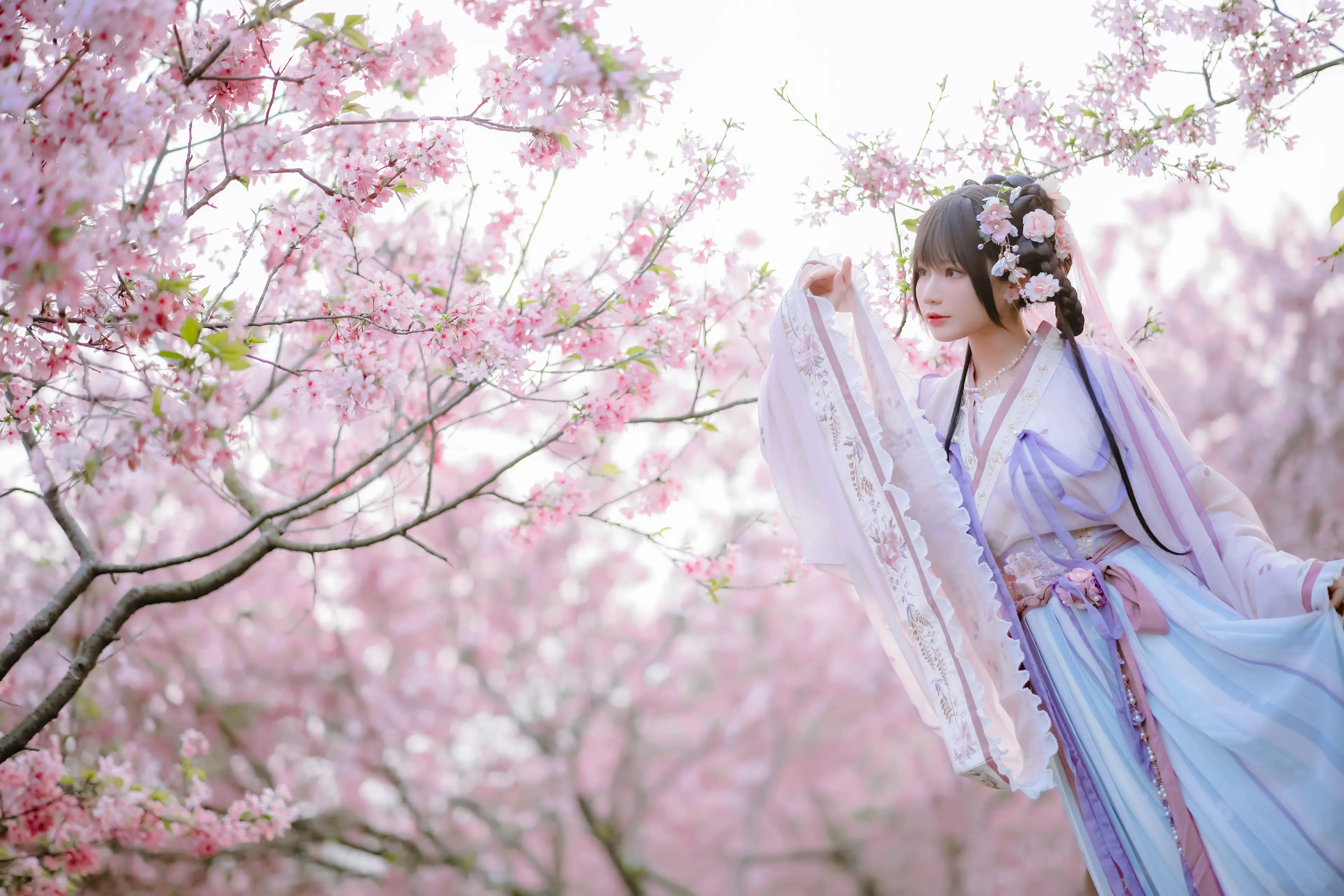 Nyako喵子 樱花汉服 花神祈愿 [52P]