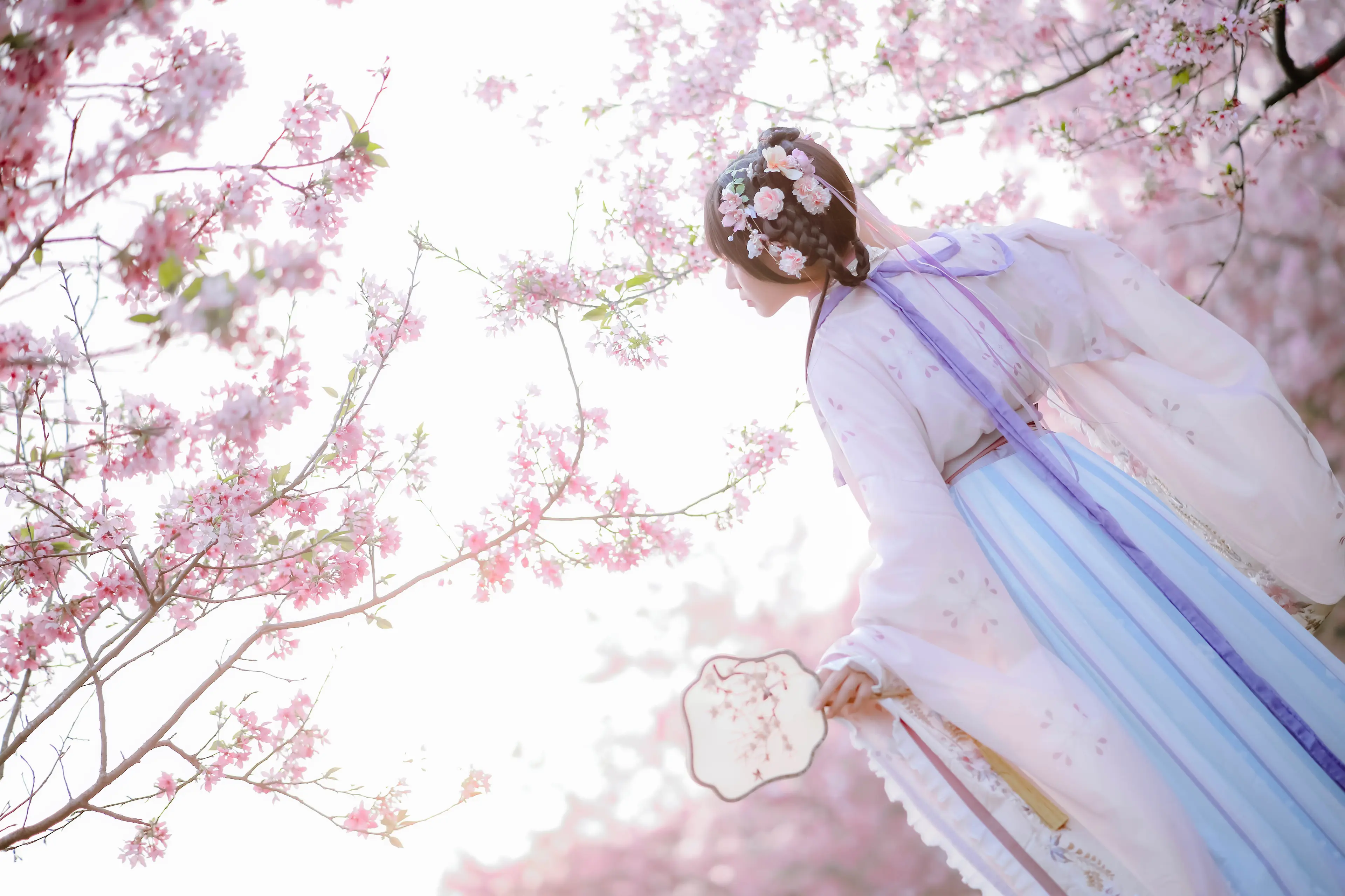 Nyako喵子 樱花汉服 花神祈愿 [52P]