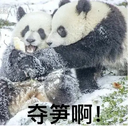 yuuhui玉汇 特级护理 [73P]